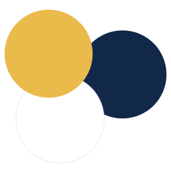 mustard yellow, navy blue and white colour palette