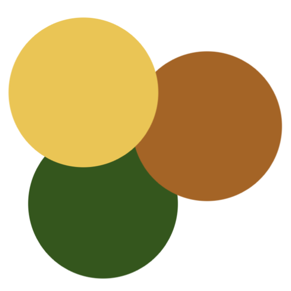 saffron, burnt orange, and forest green colour palette