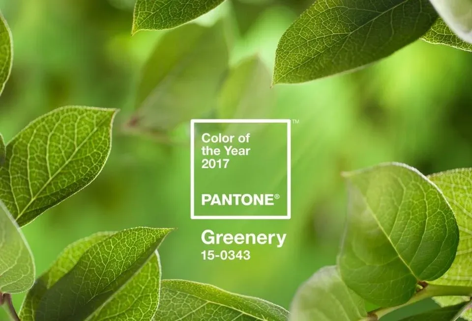 Pantone colour of the year 2017 Greenery