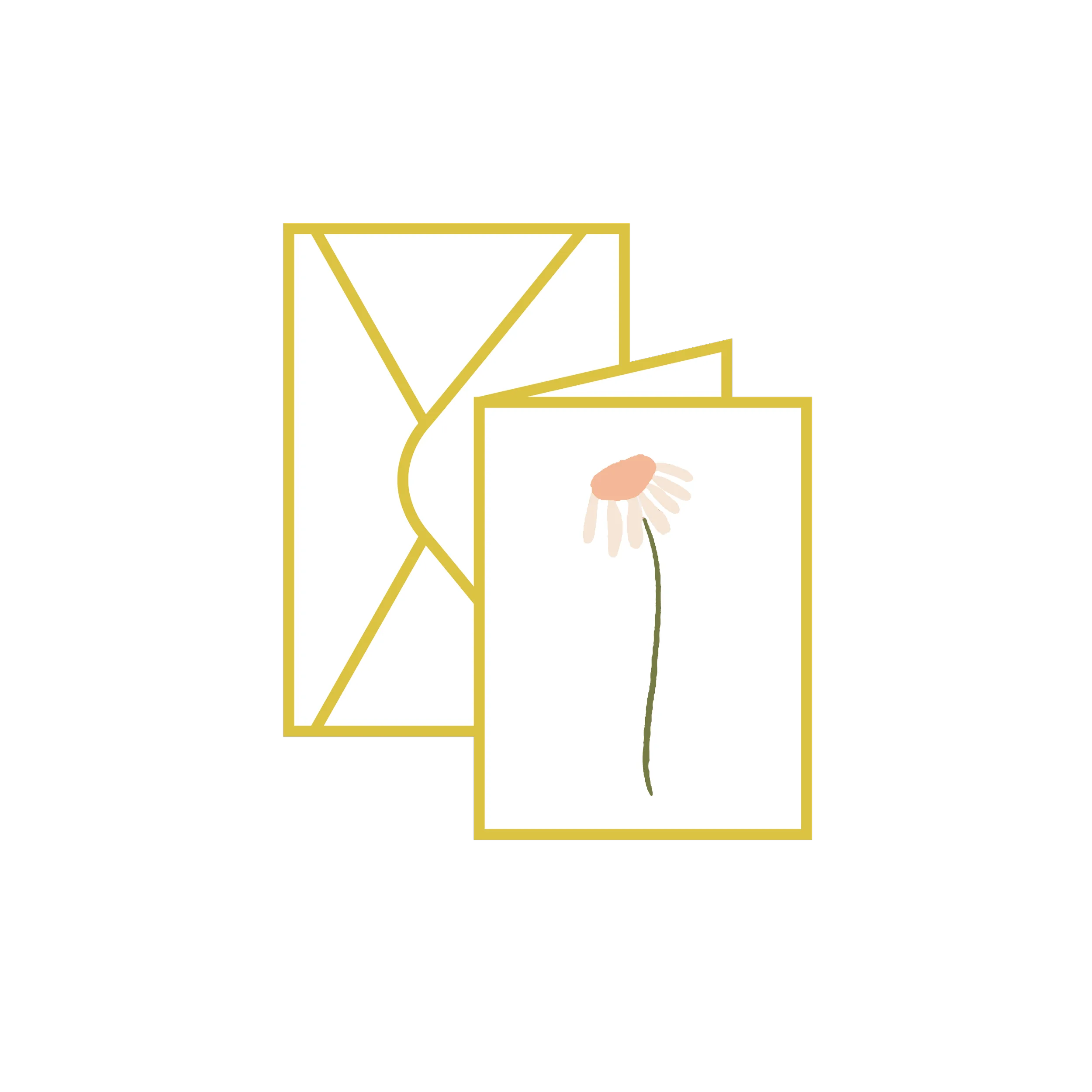 Thank You Cards