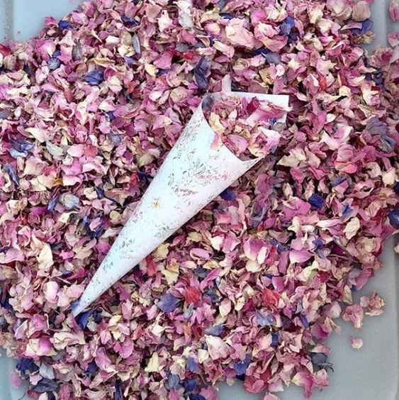 Dried Petal Confetti
