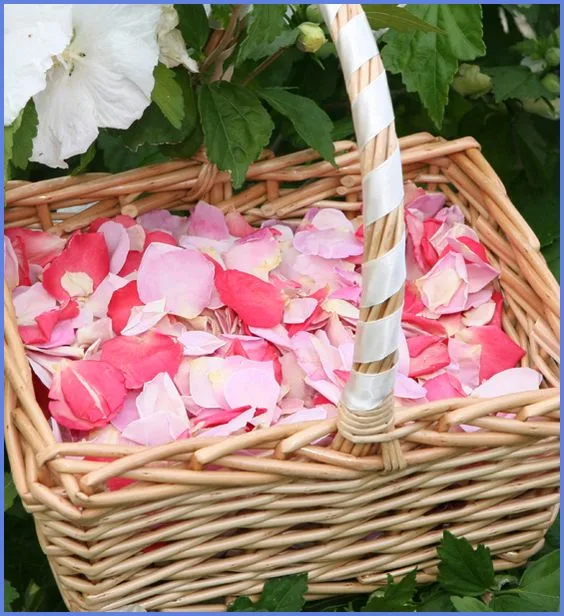 Fresh Petal Confetti